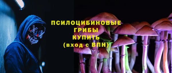 бутират Нягань