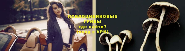 бутират Нягань