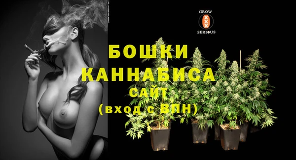 соль ск Няндома