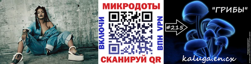 Галлюциногенные грибы мицелий  Новоалександровск 