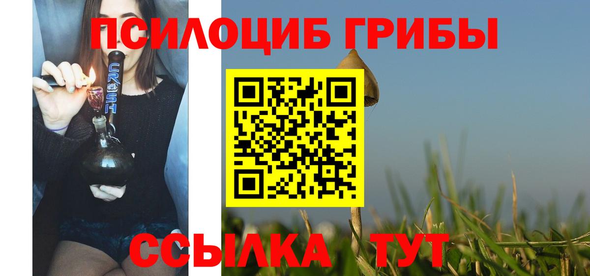 Новоалександровск  Галлюциногенные грибы мицелий  Вход с VPN  Галлюциногенные грибы Magic Shrooms 
